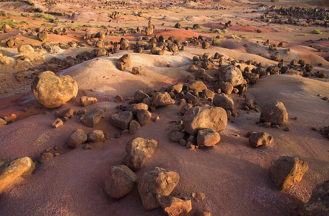 Hawaii, Lanai, Garden of the Gods.