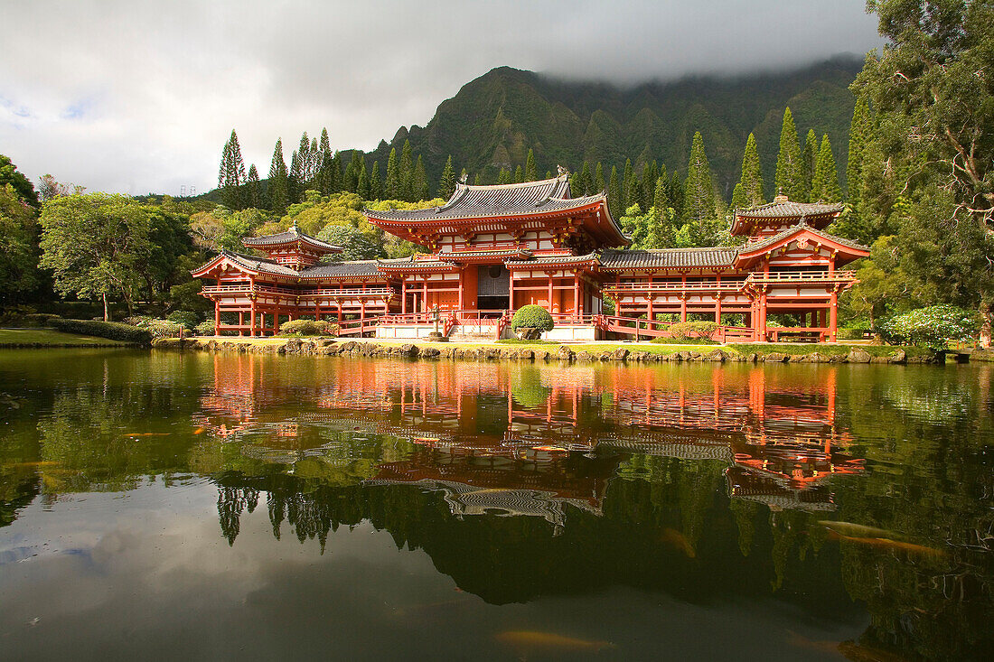 Hawaii, Oahu, Ahuimanu Valley, Valley of the Temples, Byodo-In Temple, Koi swimming in pond.