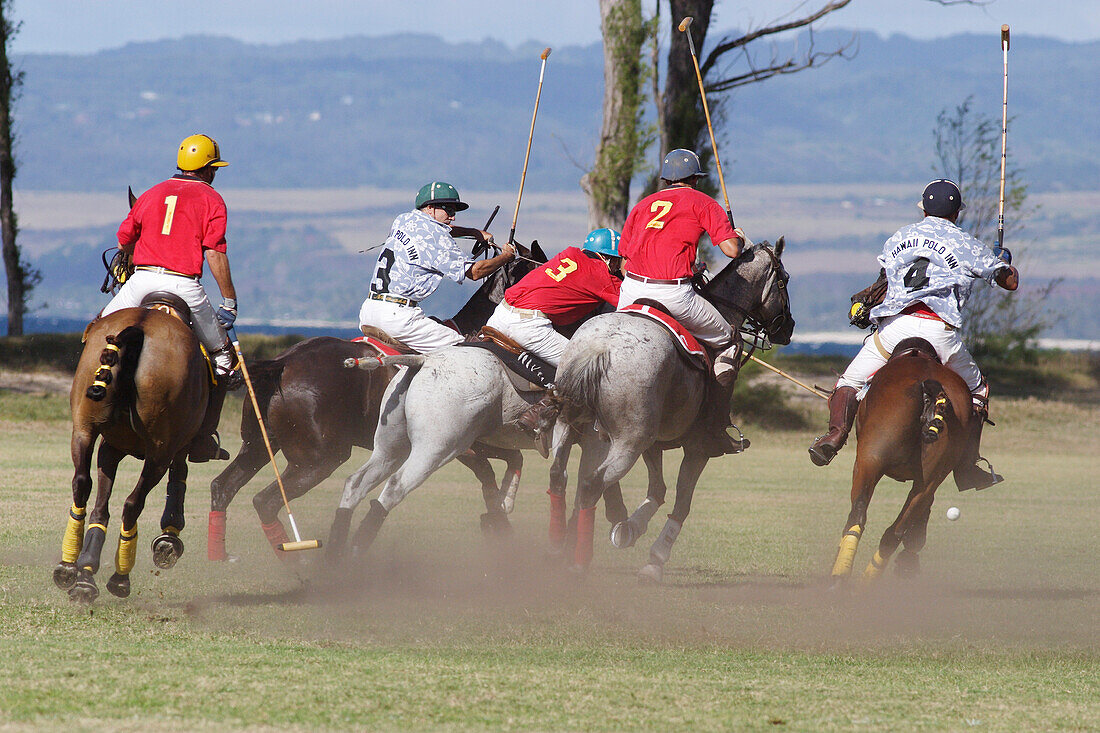 Hawaii, Oahu, North Shore, men on horseback playing polo on oceanside fields. NO MODEL RELEASE