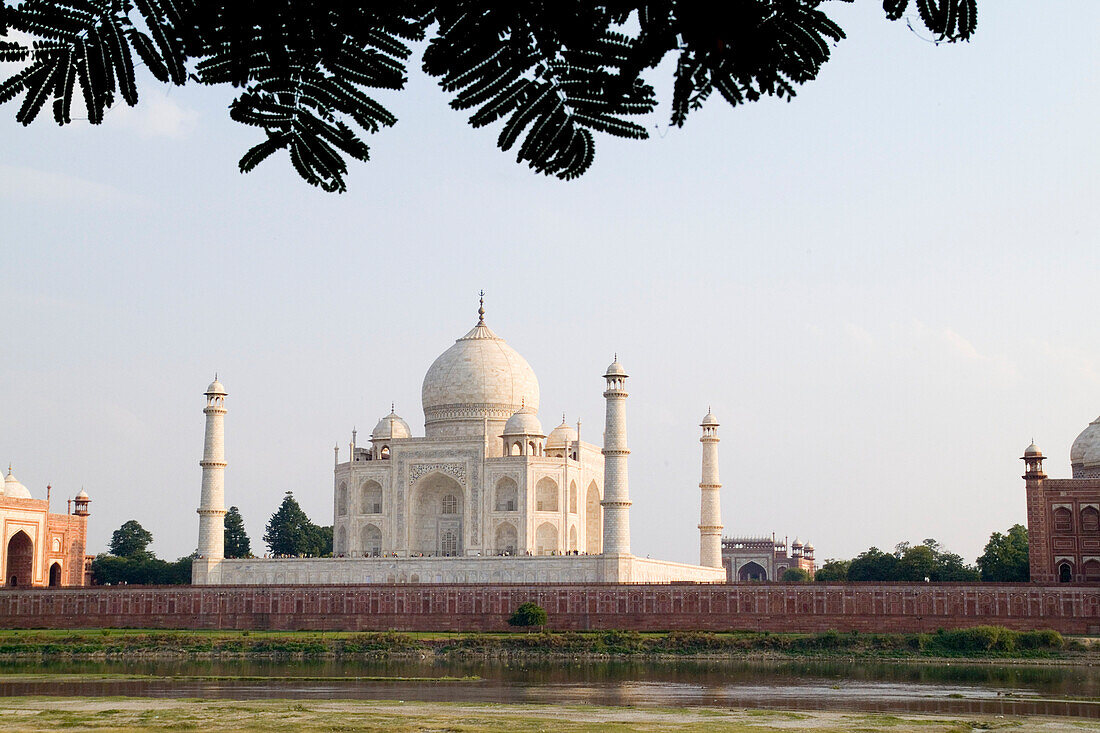 India, Agra, Taj Mahal, temple burial site at sunset from Yamuna River.