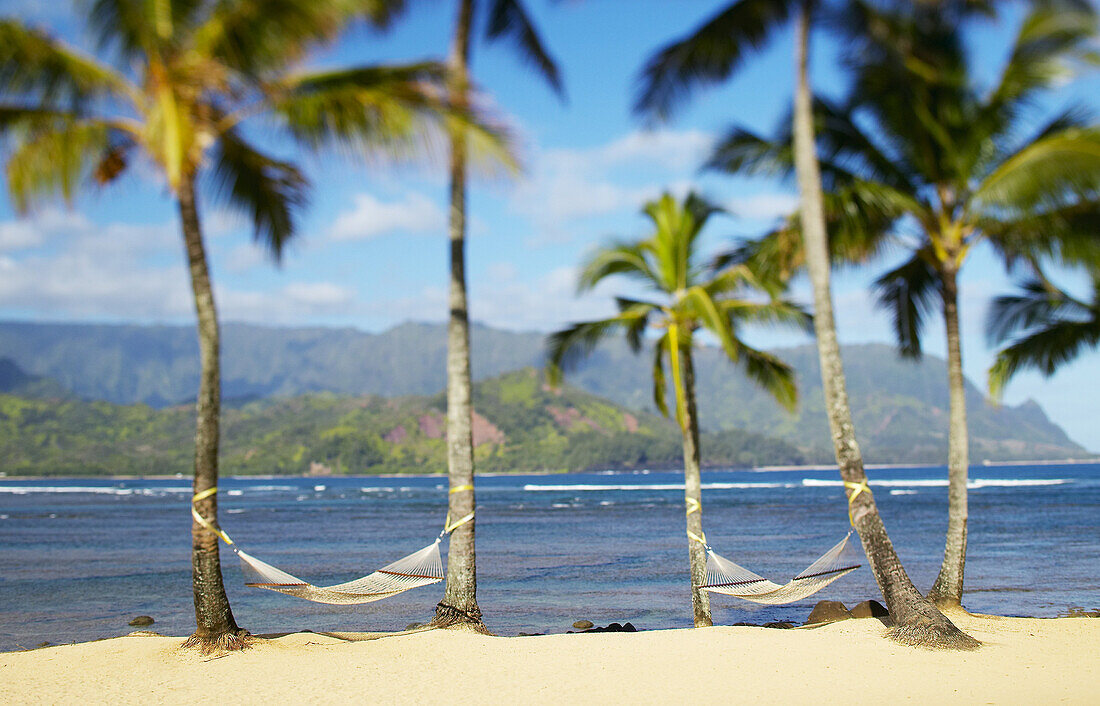 Hawaii, Kauai, Hanalei Bay Princeville, Two hammocks hang between palm trees on sandy tropical beach.