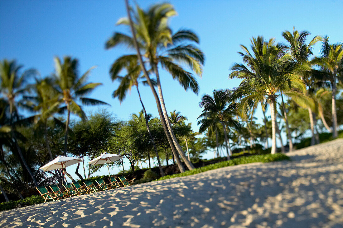 Hawaii, Big Island, Kona Coast, Kukio Beach, Beach chairs and umbrellas line the shore.