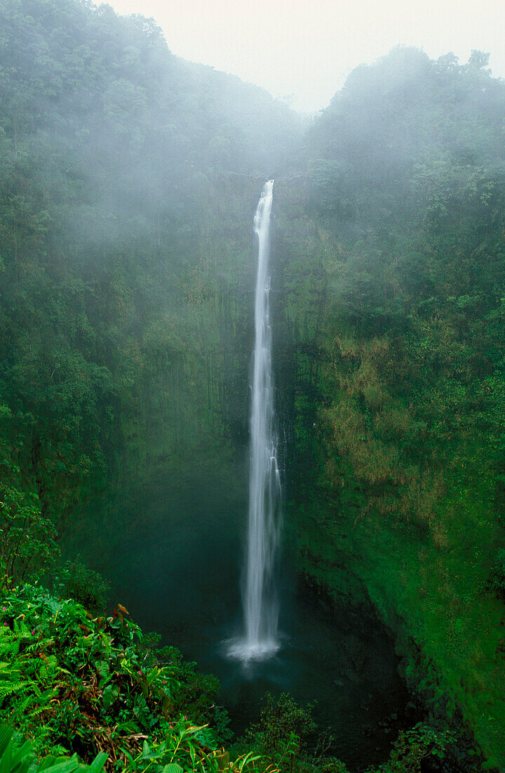 Hawaii, Big Island, Akaka Falls State Park, Misty view of falls