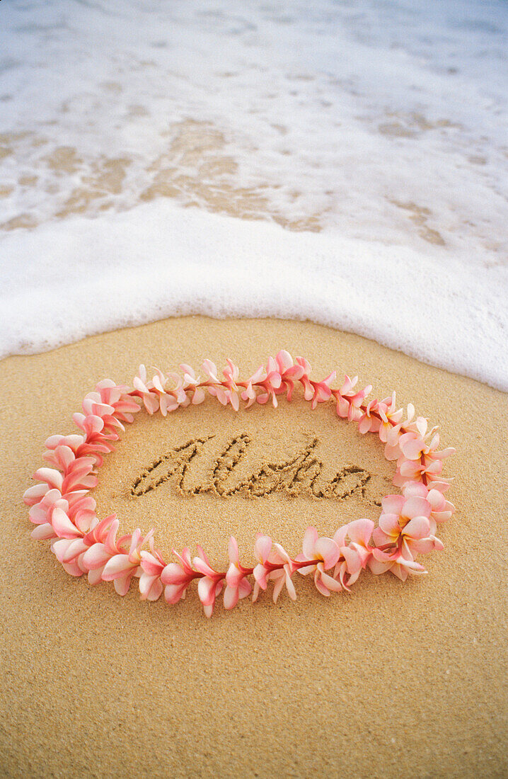 Close-up of pink plumeria lei with aloha written in sand, foaming shore water