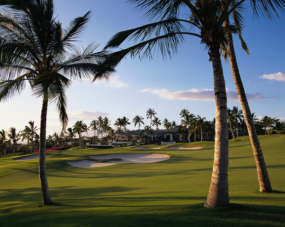 Hawaii, Maui, Wailea Golf Course with Club House in background, palms in foreground