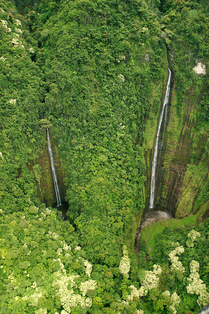 Hawaii, Maui, Hana Coast, Waihiumalu waterfall, Two falls, green and lush, view from above.