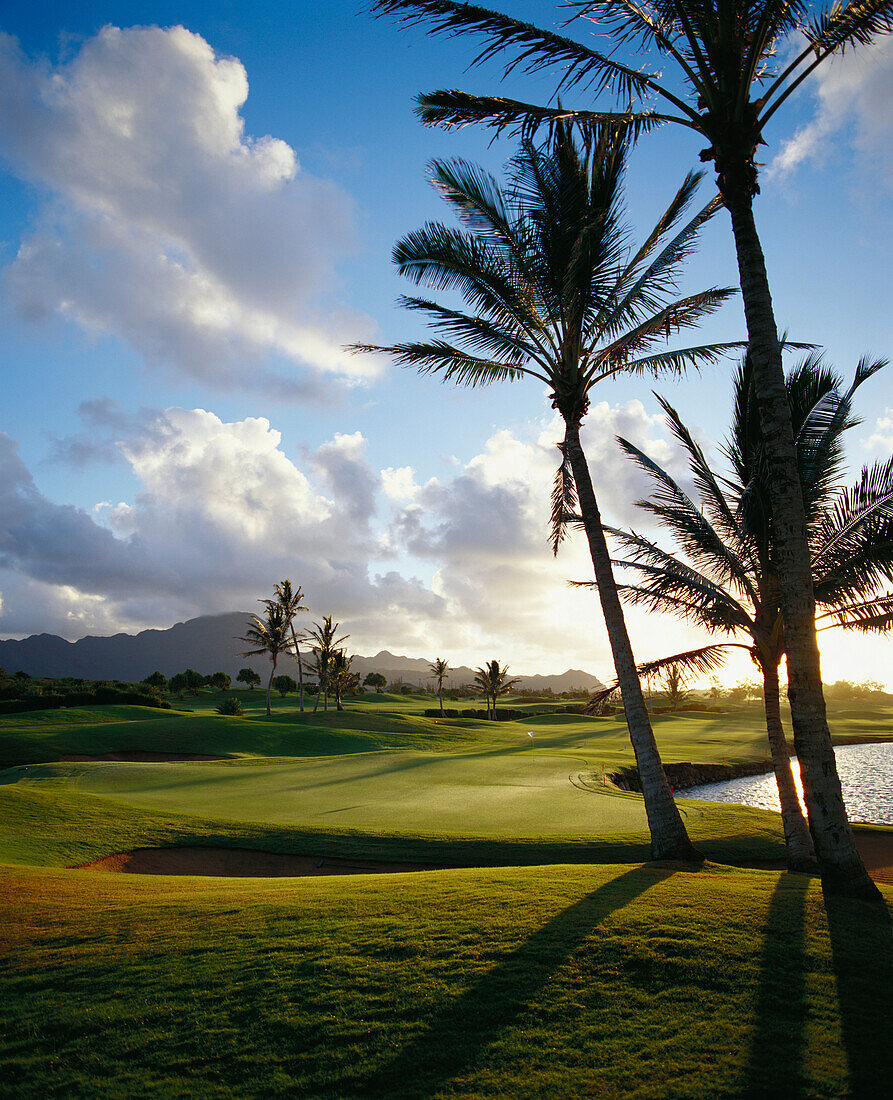 Hawaii, Kauai, Poipu Golf Course, afternoon landscape, palm trees with shadows, green with flag