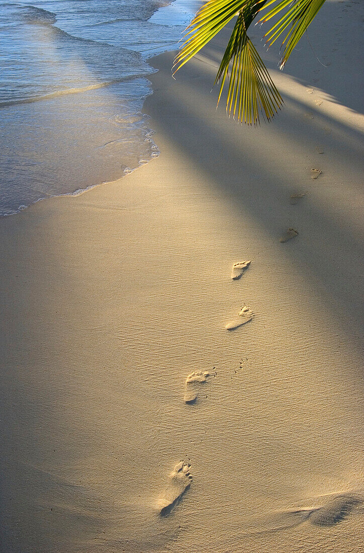 Footprints in sand at water's edge, soft warm golden light