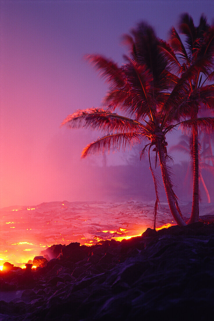 Hawaii, Big Island, Kalapana, lava flowing into ocean, palm trees, glowing A27G
