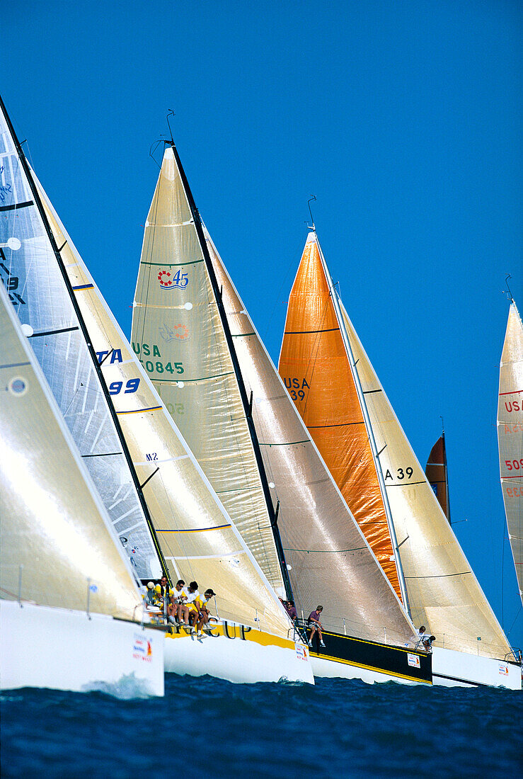 Florida, Key West Race Week, many colorful sails lined up, blue skies C1309