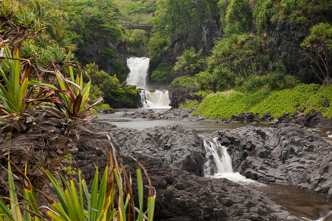 Hawaii, Maui, Hana, Seven Sacred Pools, a large stream and waterfalls.