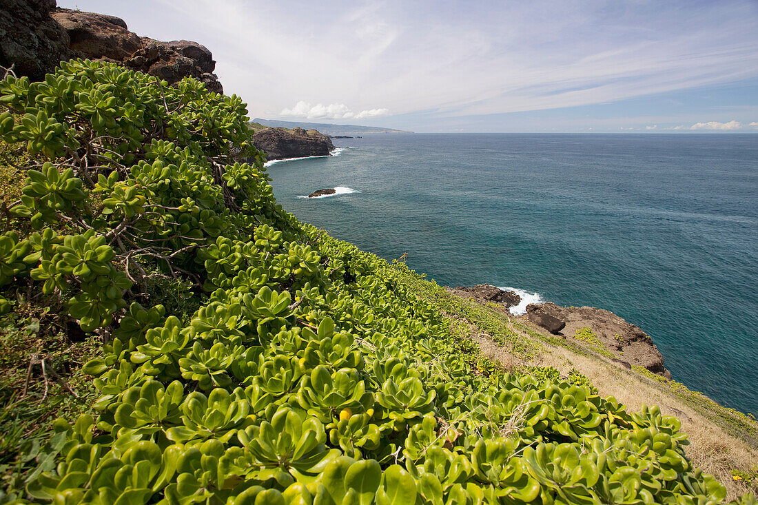 Hawaii, Maui, lush West side coast looking North
