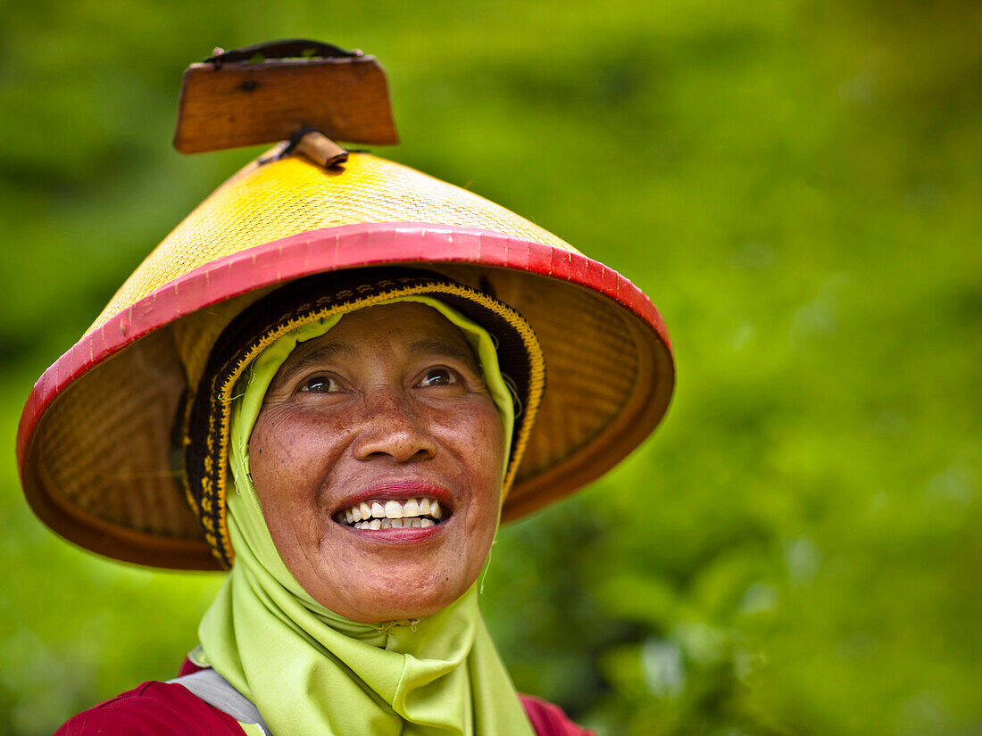 'A Woman Wearing A Conical Hat At The Tea Plantation; Sumatran Indonesia'