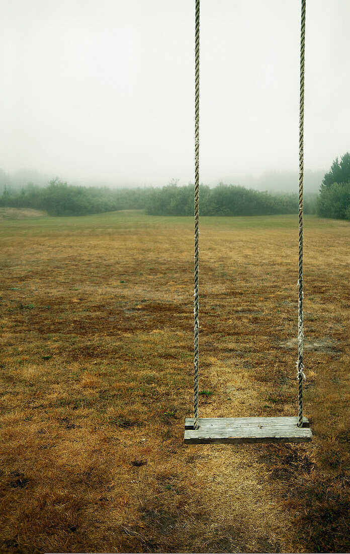 A empty childrens' swing in a field., Long Beach, Washington, USA