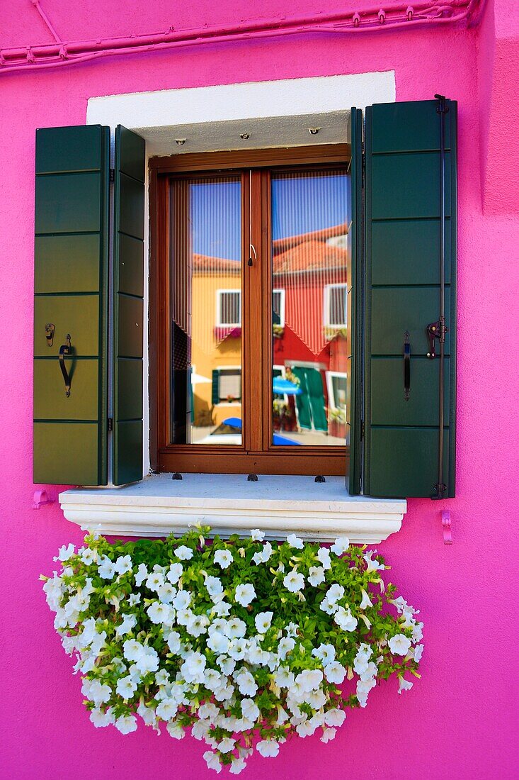 Italy , Near Venice city , Burano City ,window