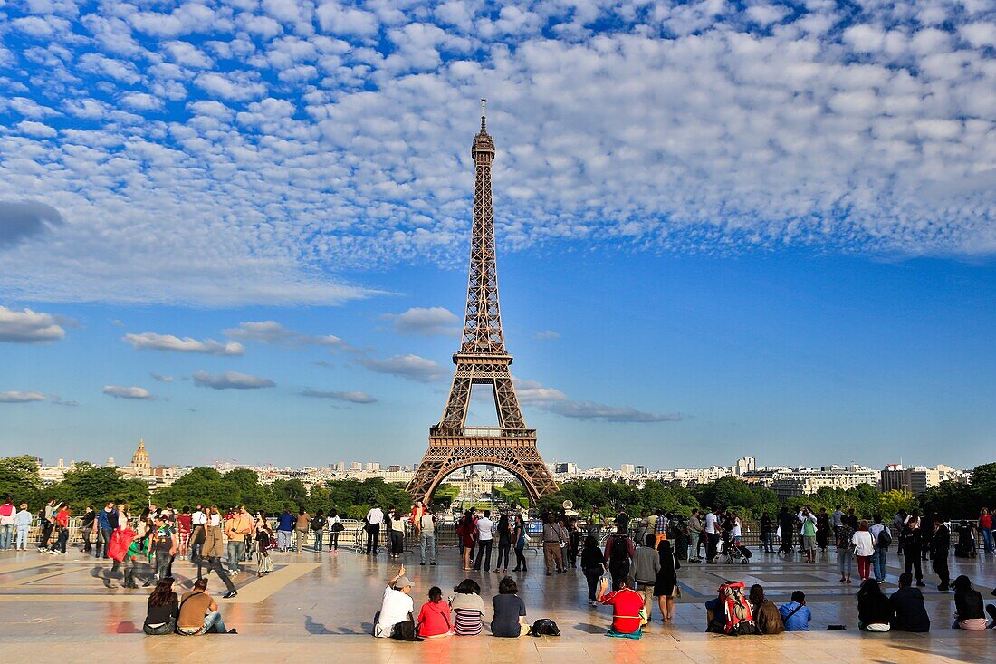 France , Paris City, Eiffel Tower from  Trocadero