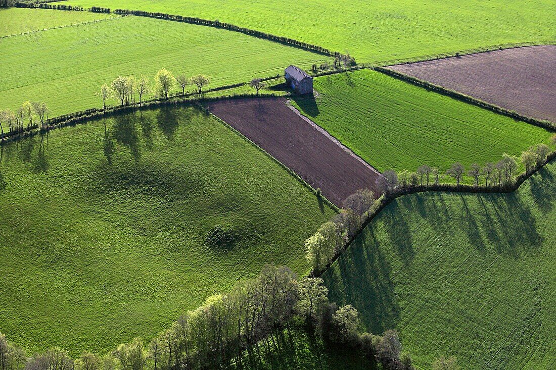 France, Aveyron (12), Landscape of crop, (aerial photo)