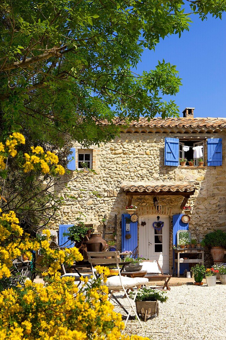 France, Vaucluse (84), Traditional house in Provence, charming and garden decor of the facade (permission to publish) /