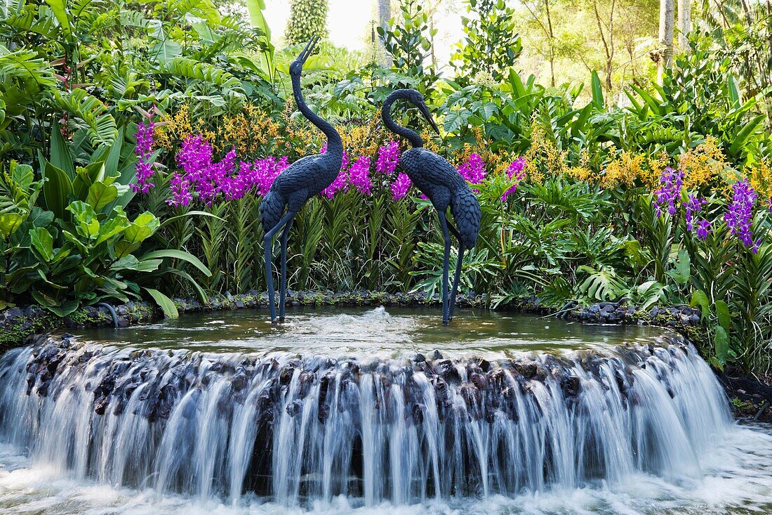 Singapore,Botanic Gardens,Orchid Gardens