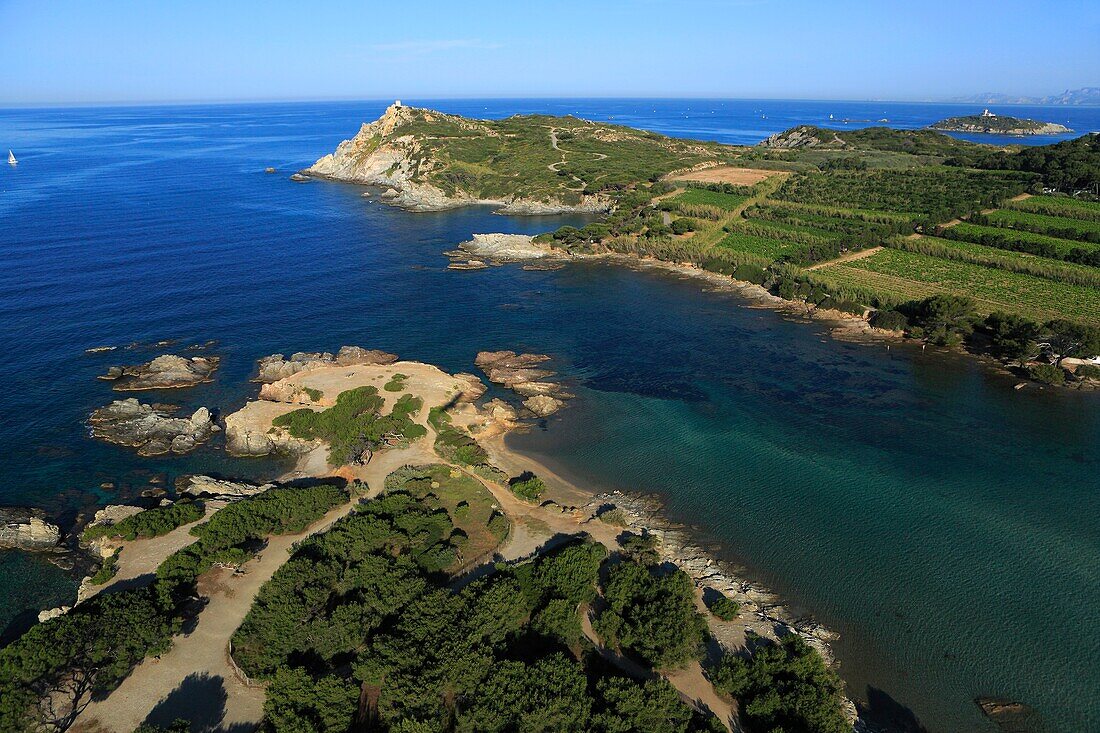 France, Var (83), Embiez Island, the largest island and the wild coast, has the background of the island Rouveau large (aerial photo)