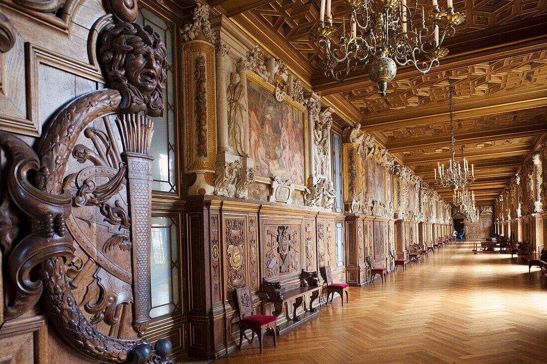 France, Ile-de-France, Fontainebleau, Chateau de Fontainebleau, Francois I Gallery