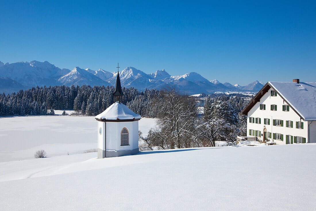 Chapel and farm with view towards the Allgaeu Alps, Allgaeu, Bavaria, Germany
