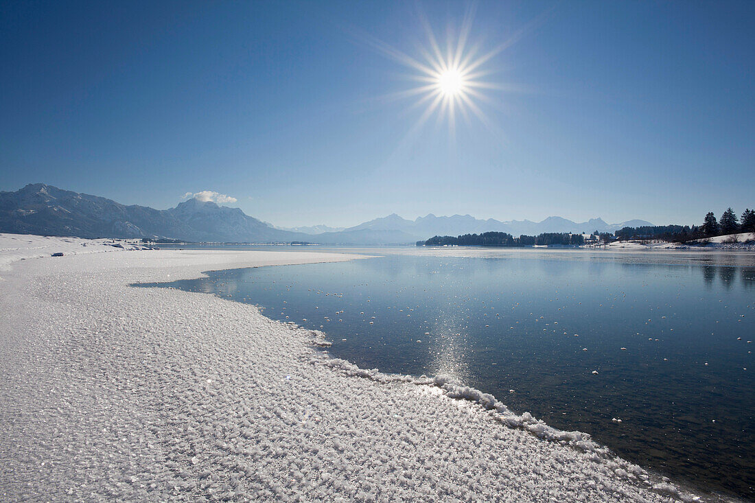 Blick über den Forggensee zu den Allgäuer Alpen mit Tegelberg, Säuling und Tannheimer Bergen, Allgäu, Bayern, Deutschland