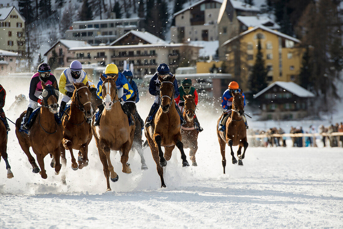 White Turf Horse Race 2013, St. Moritz, Engadine valley, Upper Engadin, Canton of Graubuenden, Switzerland