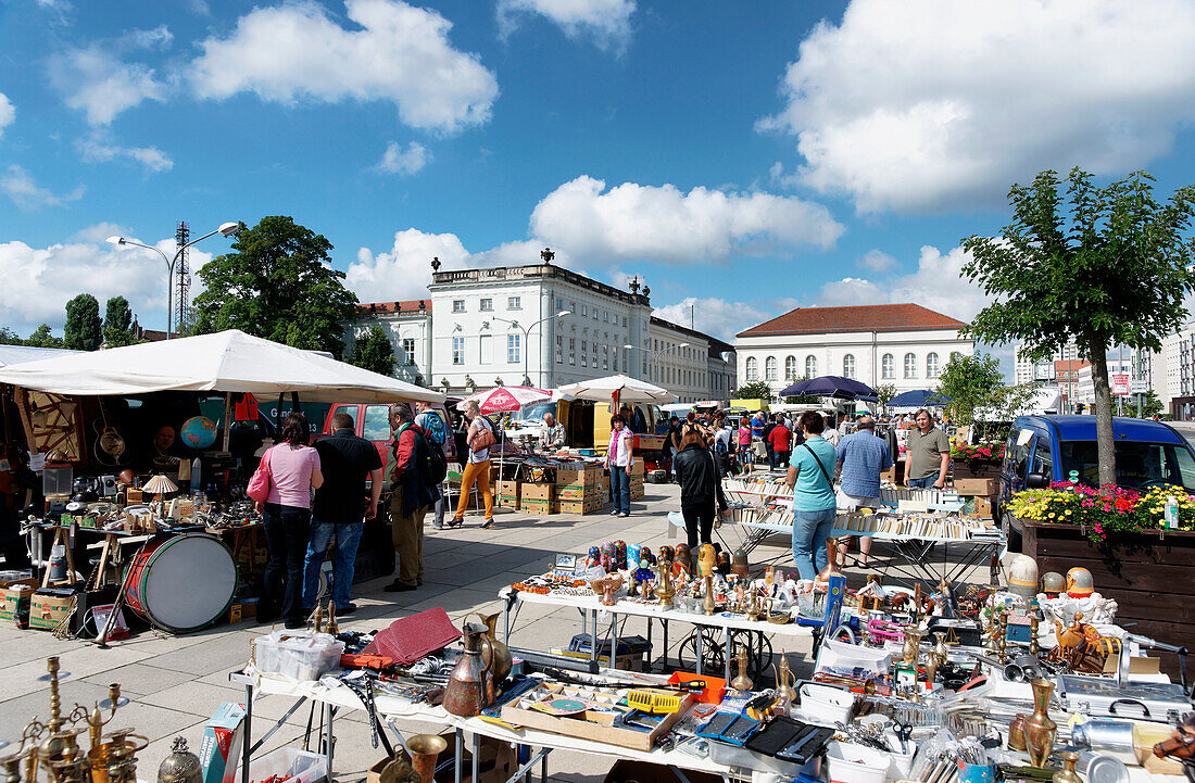 Secondhand market in Lustgarten, Potsdam, Land Brandenburg, Germany