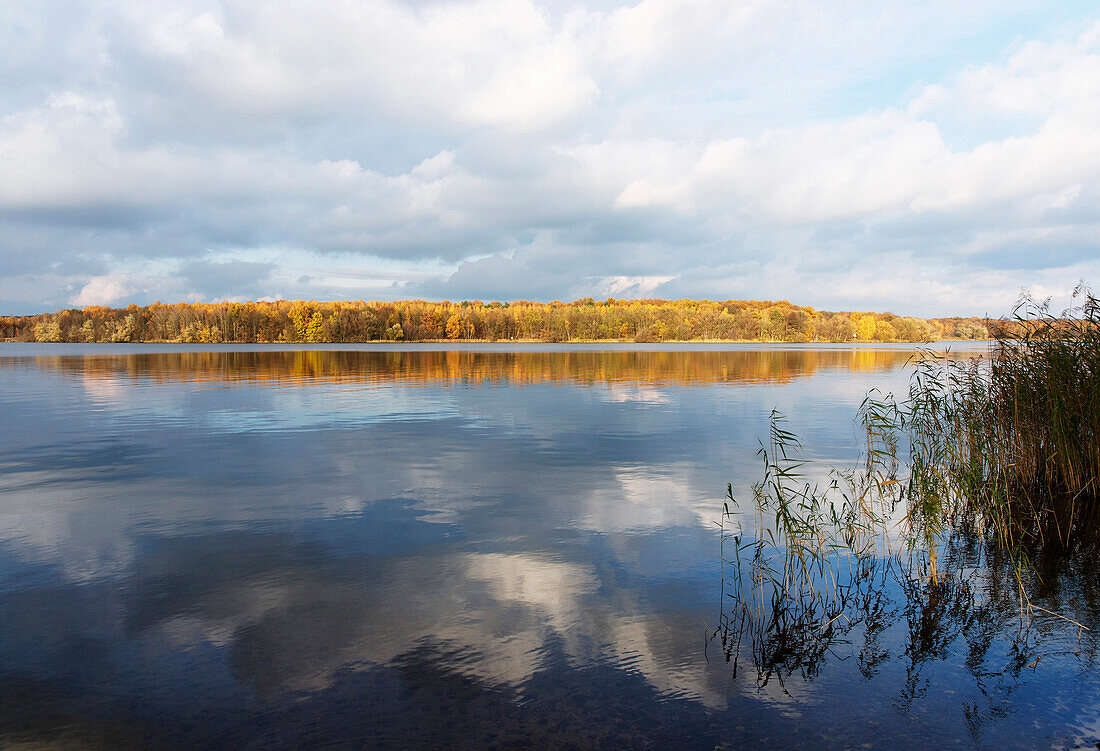 Lake Jungfernsee, Havel, Potsdam, Land Brandenburg, Germany