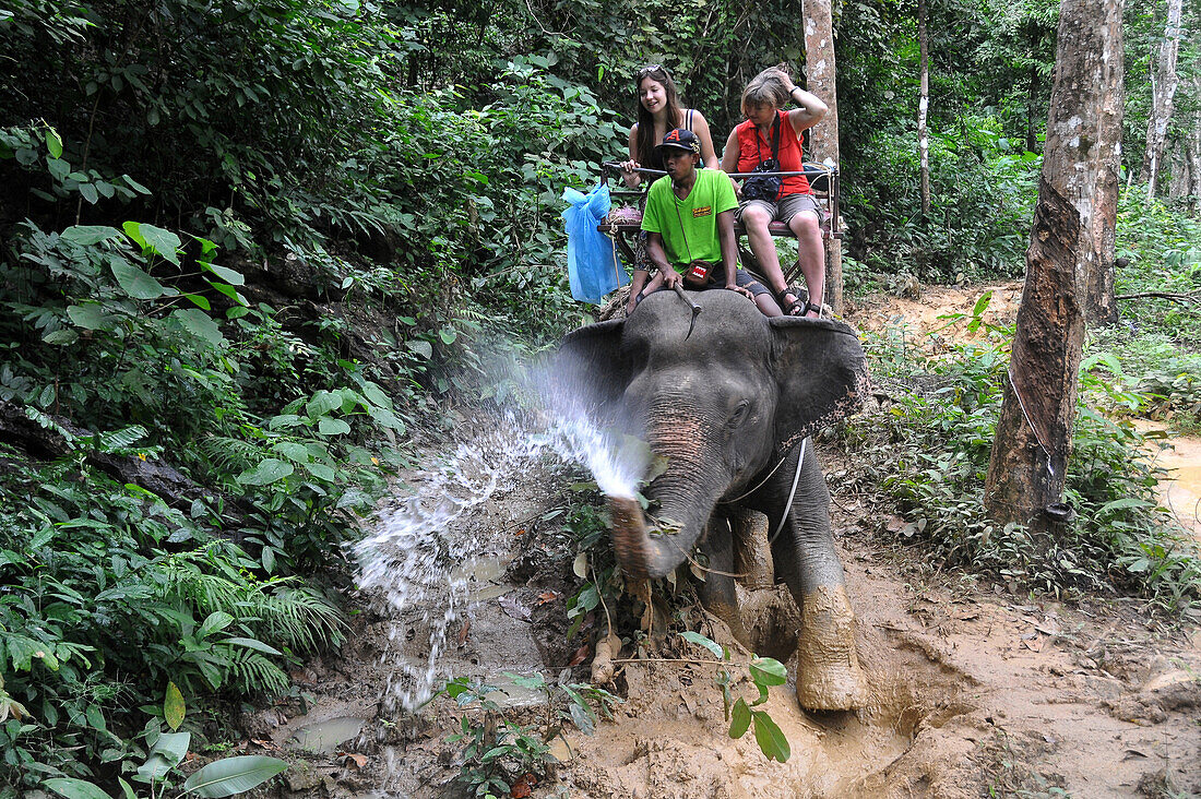 Elefantenreiten bei Ao Nang, Krabi, Andamanensee, Thailand, Asien