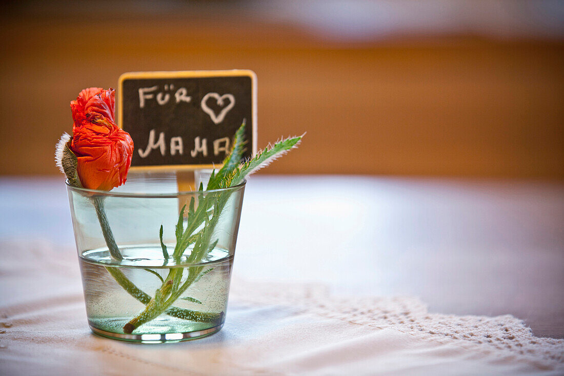 Roter Mohn in einem Glas mift dem Schild für Mama, Muttertag, Steiermark, Österreich