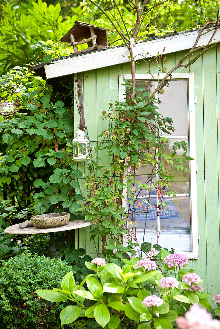 Summer house with the birdhouse and plants in front of the window, Vienna, Austria