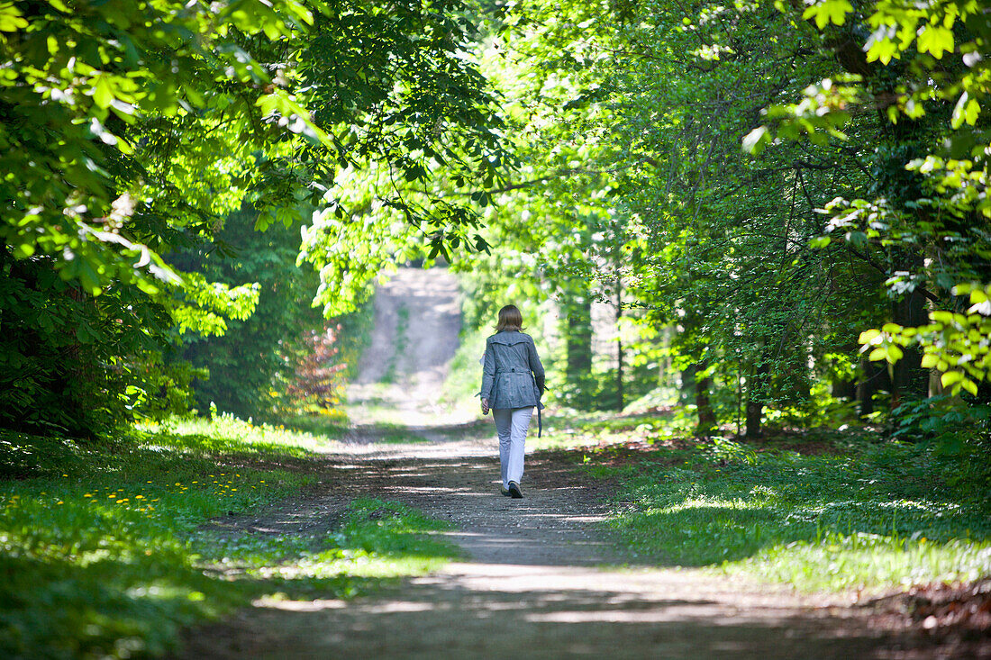 Frau spaziert den Waldweg entlang, Wien, Österreich