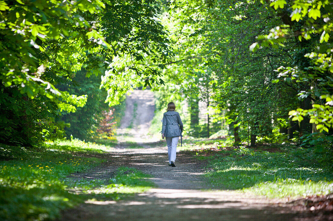 Woman walking along the way in the wood, Vienna, Austria