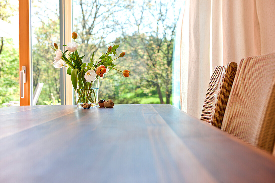 Tulpen in einer Vase am Tisch, Wohnzimmer mit dem Blick ins Garten, Frühling, Steiermark, Österreich