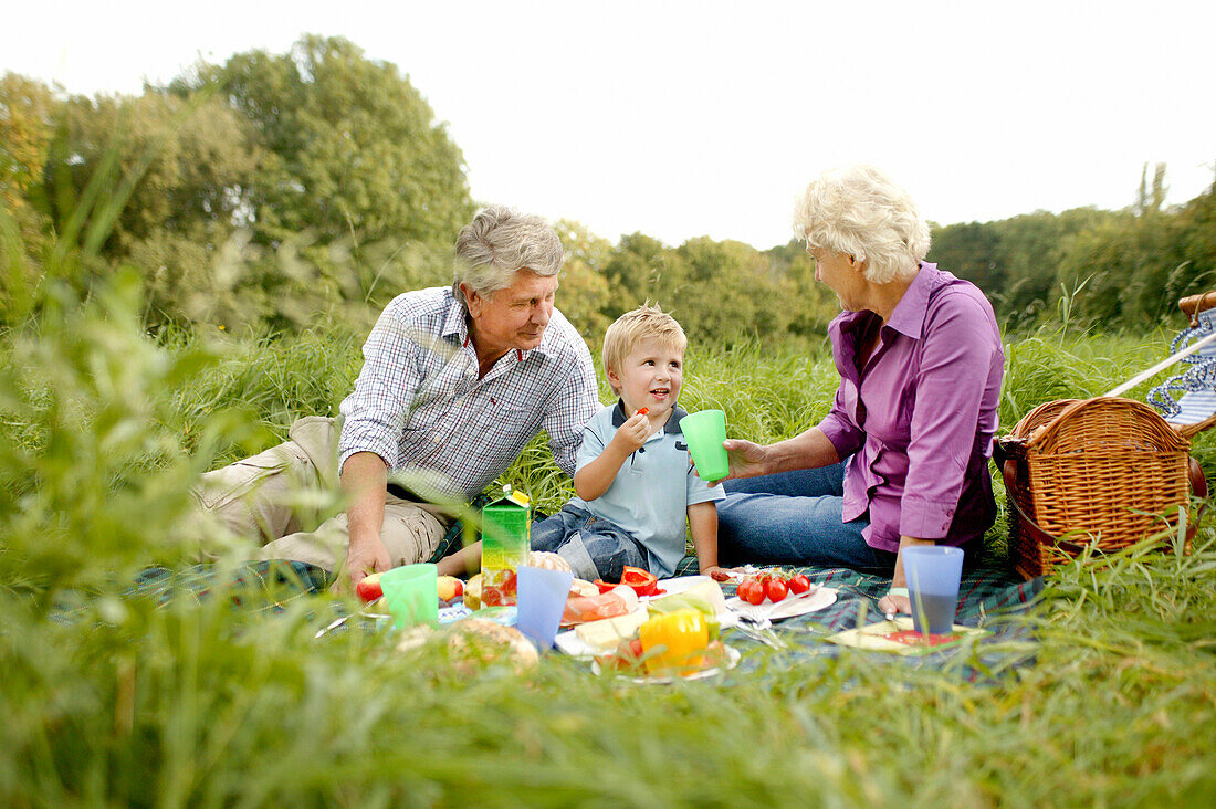 Grandparents and grandson (3 years) having a picnic on grass
