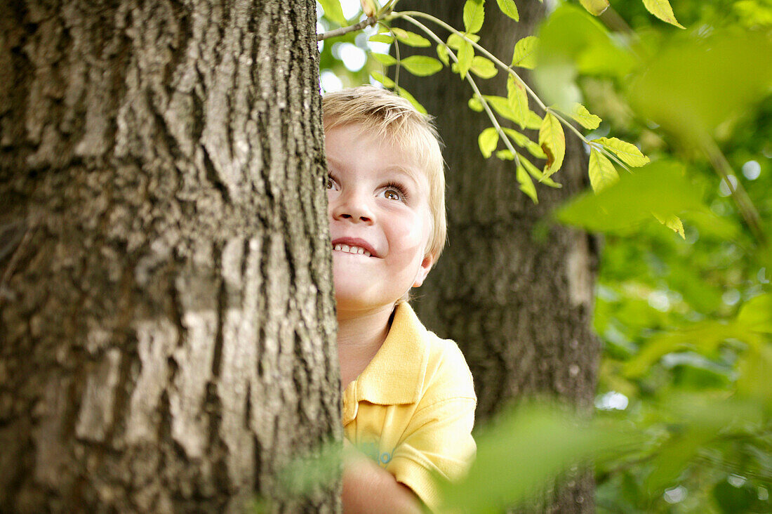 Junge (3 Jahre) ersteckt sich hinter einem Baum, Wien, Österreich