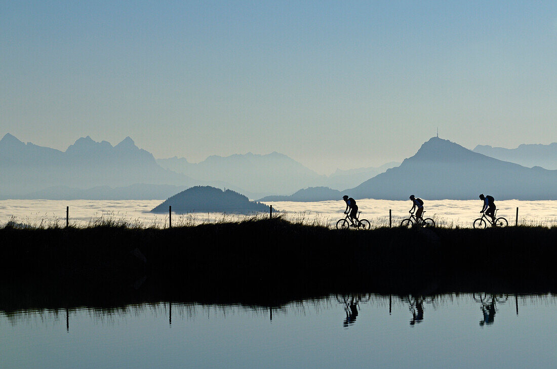 Mountain bikers at Lake Salvensee, Hohe Salve, Kitzbuehel Horn, Kitzbuehel Alps, Tyrol, Austria