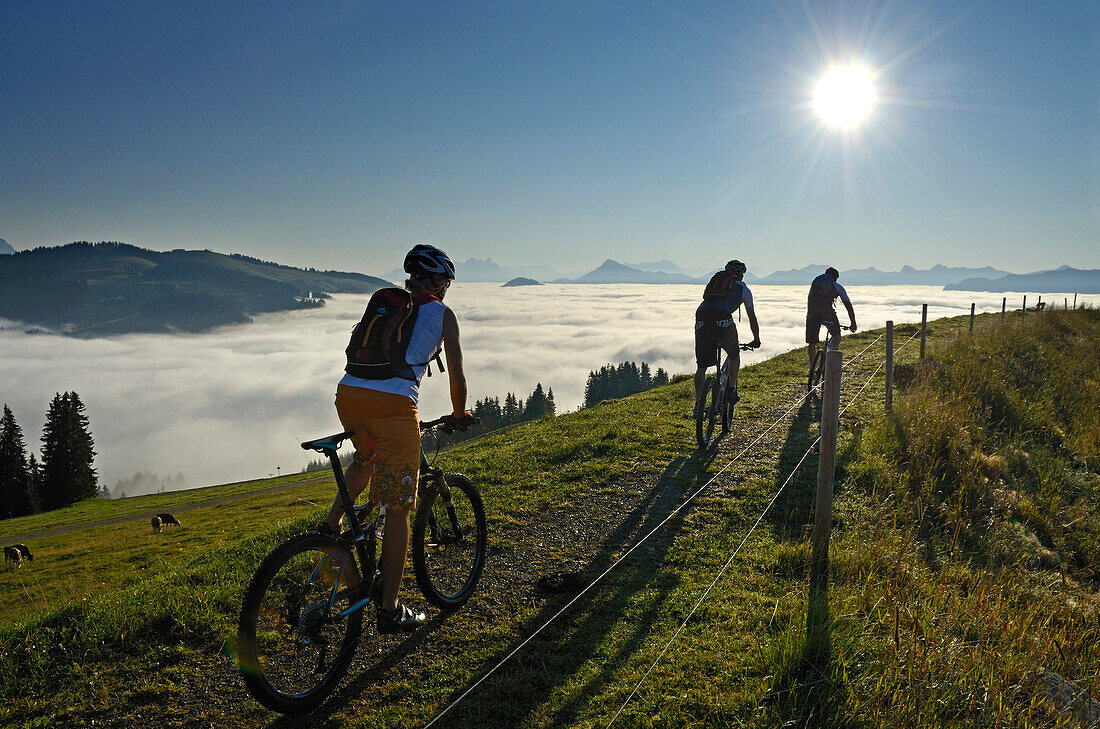 Mountain bikers at Lake Salvensee, Hohe Salve, Kitzbuehel Horn, Kitzbuehel Alps, Tyrol, Austria