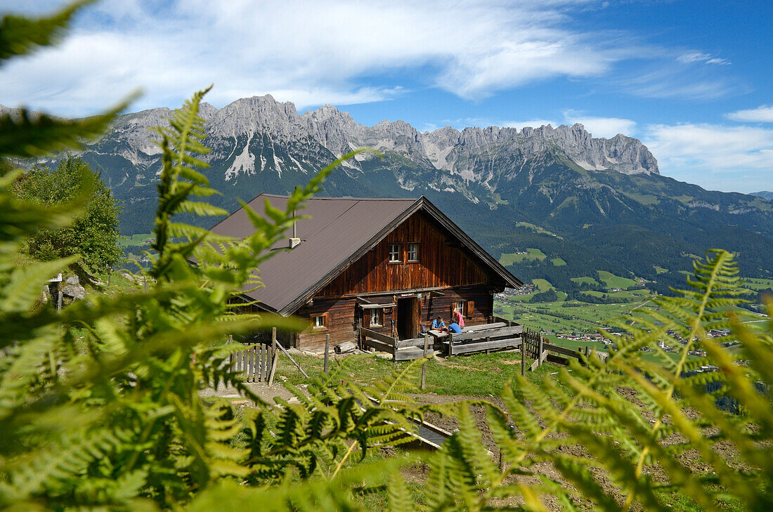 Hikers at Lederer Alm, Hartkaiser, View towards Wilder Kaiser, Tyrol, Austria