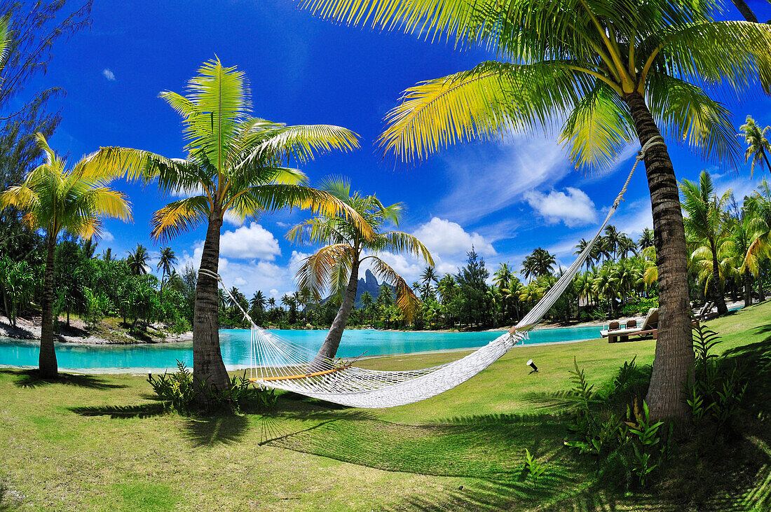 Hammock between two palm trees, Saint Regis Bora Bora Resort, Bora Bora, Society Islands, French Polynesia, Windward Islands, South Pacific