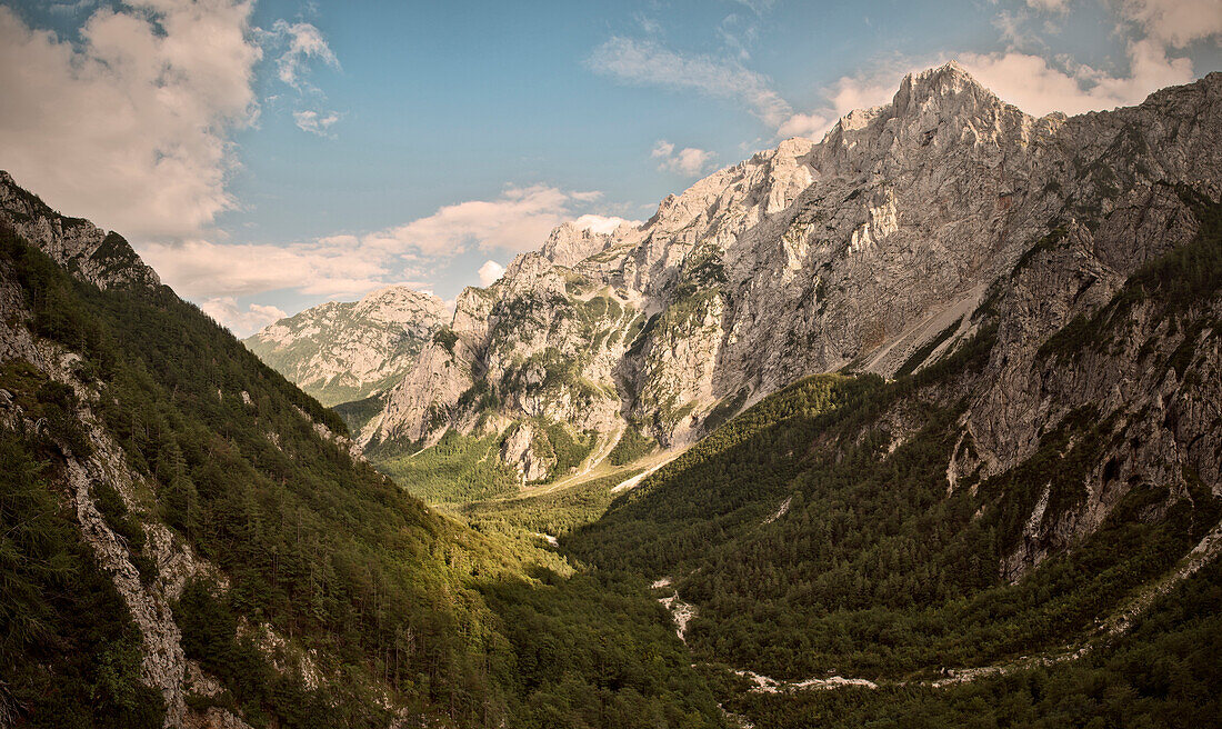 Panoramablick in das bewaldete Tal im Naturpark Logarska Dolina, Alpen, Stajerska, Slowenien
