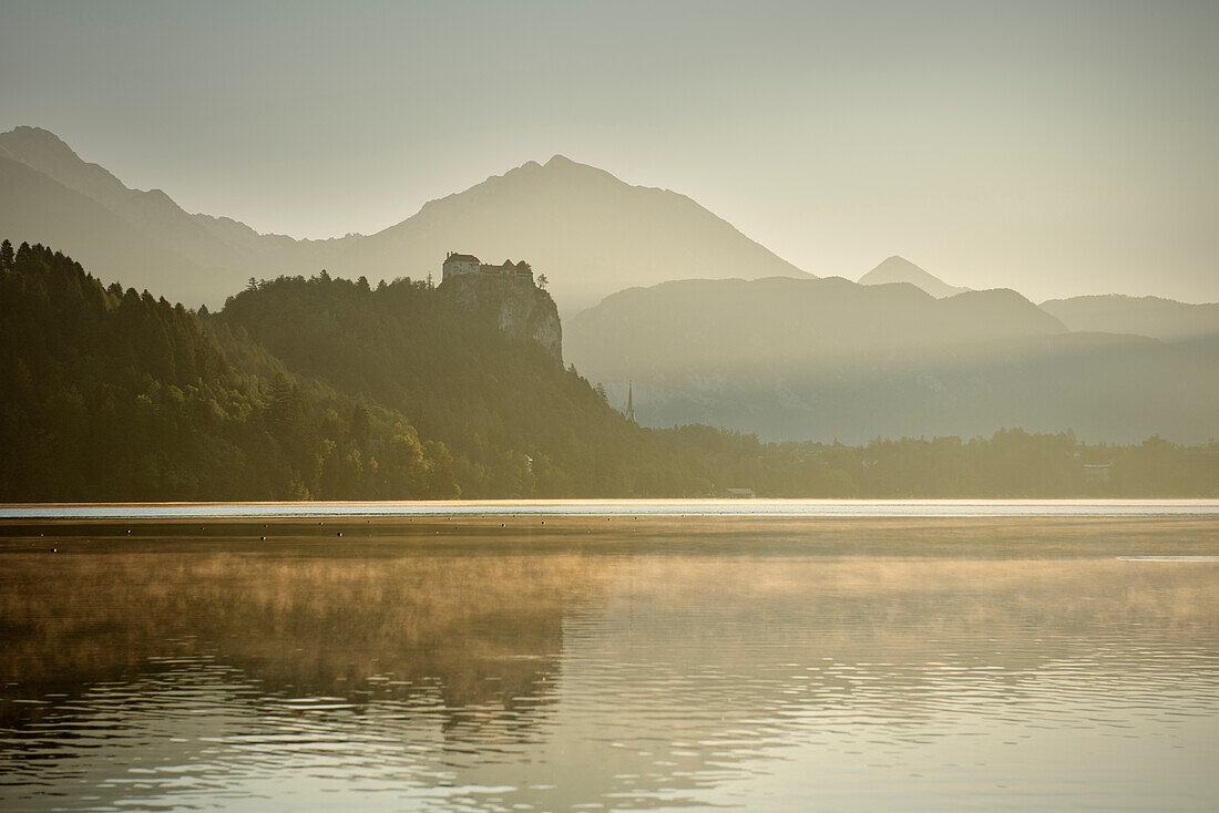 Blick im Morgenlicht zur Burg am See von Bled, Julische Alpen, Gorenjska, Slowenien