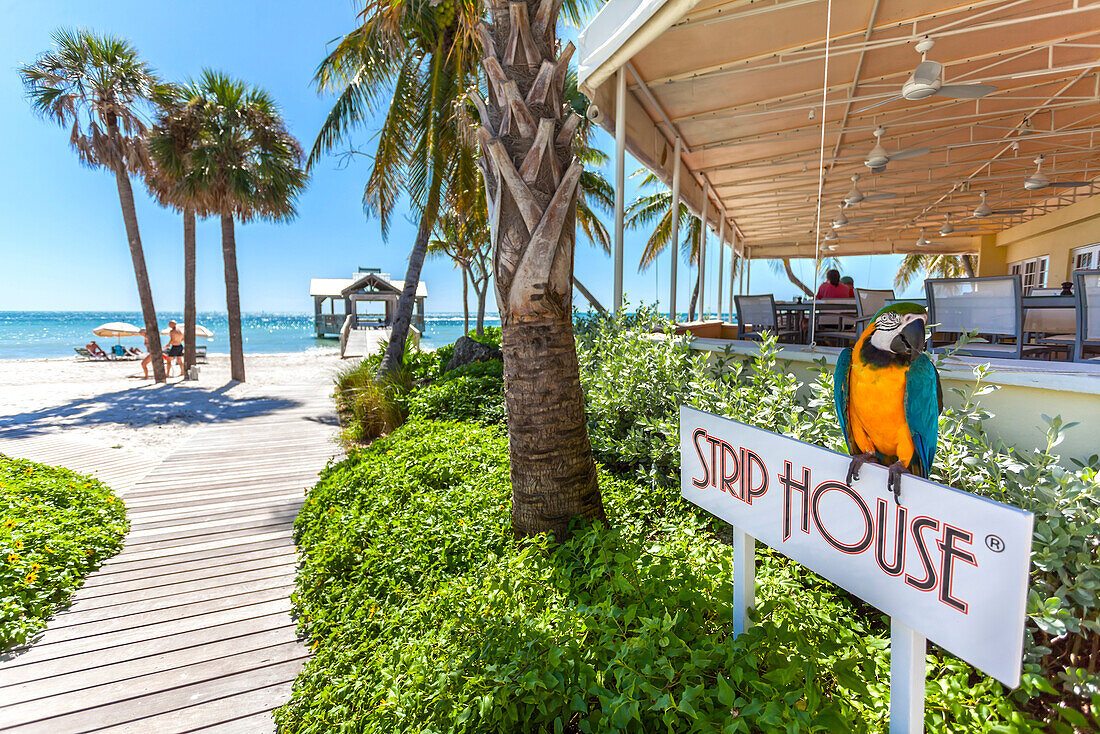 Impression at Gourmet Restaurant The Strip House, Reach Resort, Key West, Florida Keys, USA