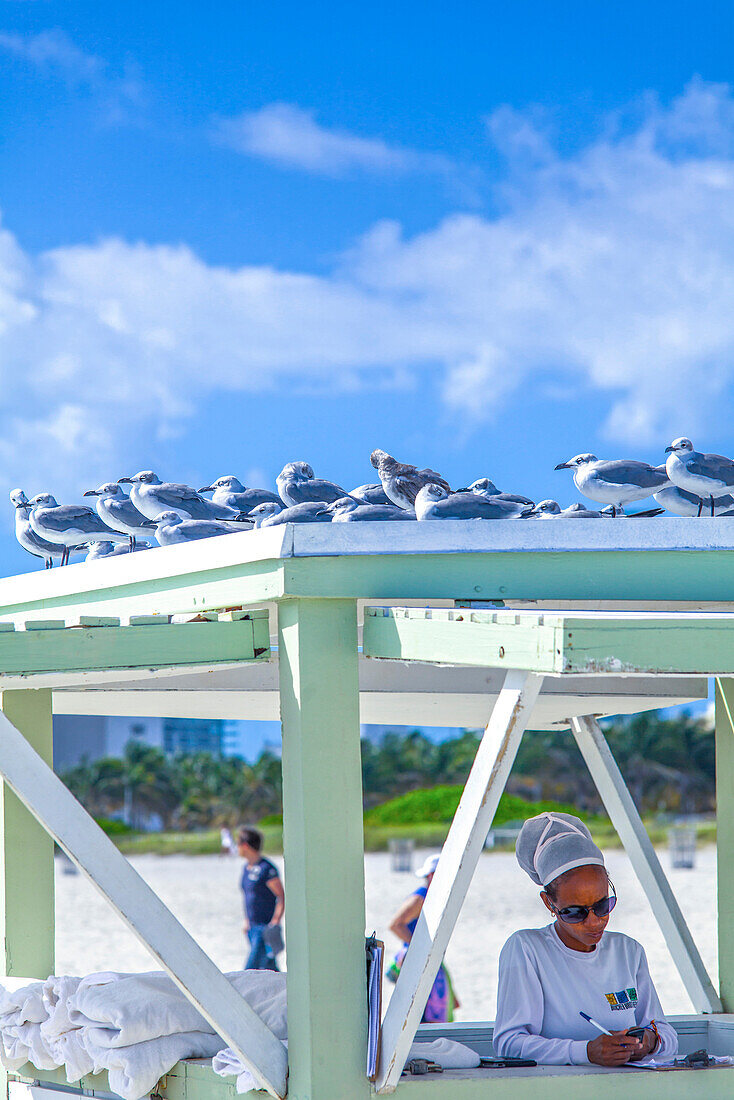 Beach towel service station for the Ritz Carlton with seagulls on the top, South Beach, Miami, Florida, USA