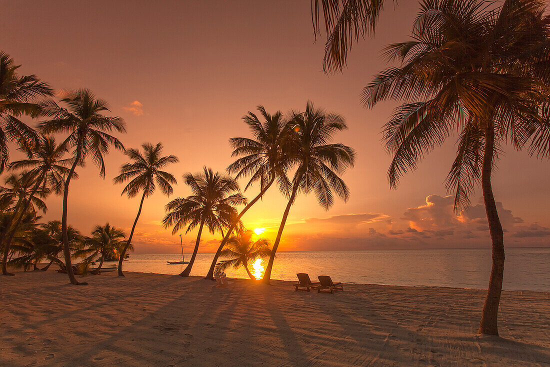 Strand bei Sonnenaufgang im The Moorings Village Resort, Islamorada, Florida Keys, Florida, USA
