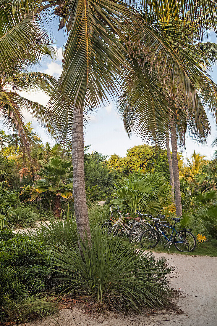 Bicycles for hire at Hotel Resort Casa Morada, Islamorada, Florida Keys, Florida, USA