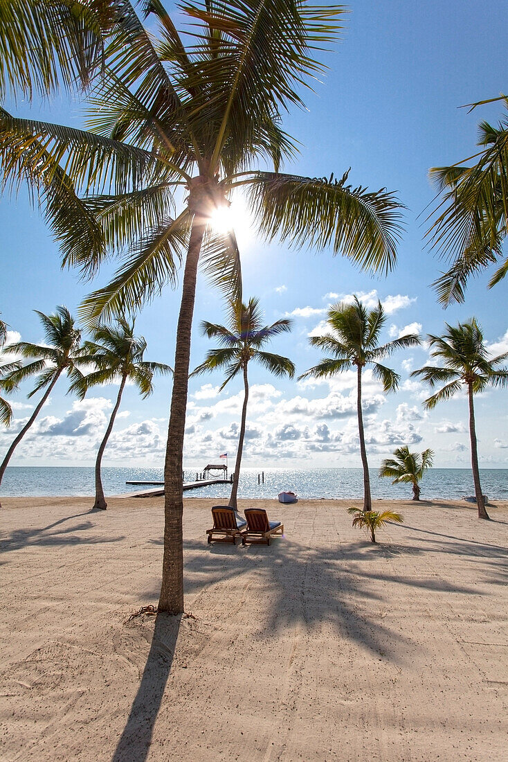 Beach with wooden jetty at the Moorings Village Resort, Islamorada, Florida Keys, Florida, USA