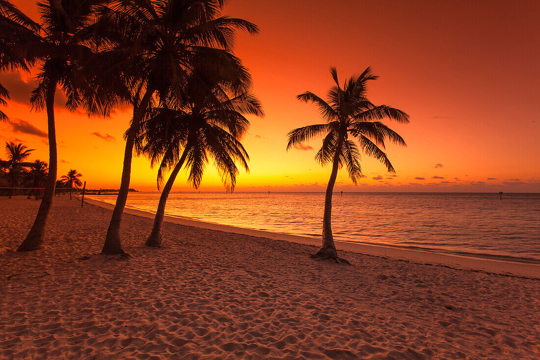 Morgenstimmung bei Sonnenaufgang am Key West Smathers Beach, Key West, Florida Keys, Florida, USA